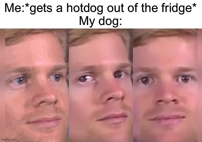 Fourth wall breaking white guy | Me:*gets a hotdog out of the fridge*
My dog: | image tagged in fourth wall breaking white guy | made w/ Imgflip meme maker