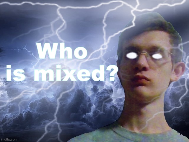 Corrupt IRL Funny Lightning Man | Who is mixed? | image tagged in corrupt irl funny lightning man | made w/ Imgflip meme maker