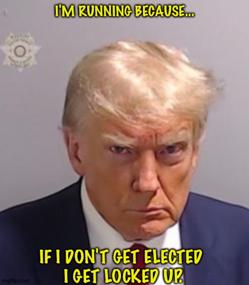Donald Trump Mugshot | I'M RUNNING BECAUSE... IF I DON'T GET ELECTED 
I GET LOCKED UP. | image tagged in donald trump mugshot | made w/ Imgflip meme maker