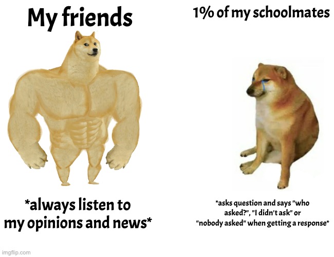 That 1% is also known as that one kid on imgflip when someone dies | My friends; 1% of my schoolmates; *always listen to my opinions and news*; *asks question and says "who asked?", "I didn't ask" or "nobody asked" when getting a response* | image tagged in memes,buff doge vs cheems | made w/ Imgflip meme maker