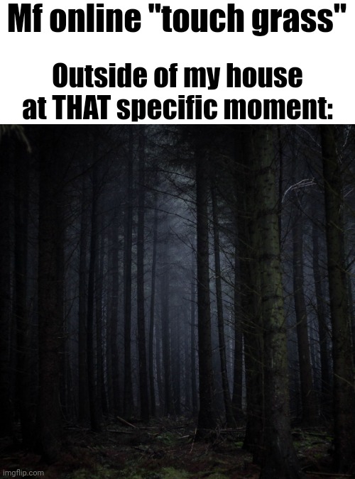 Dark forest | Mf online "touch grass"; Outside of my house at THAT specific moment: | image tagged in dark forest | made w/ Imgflip meme maker