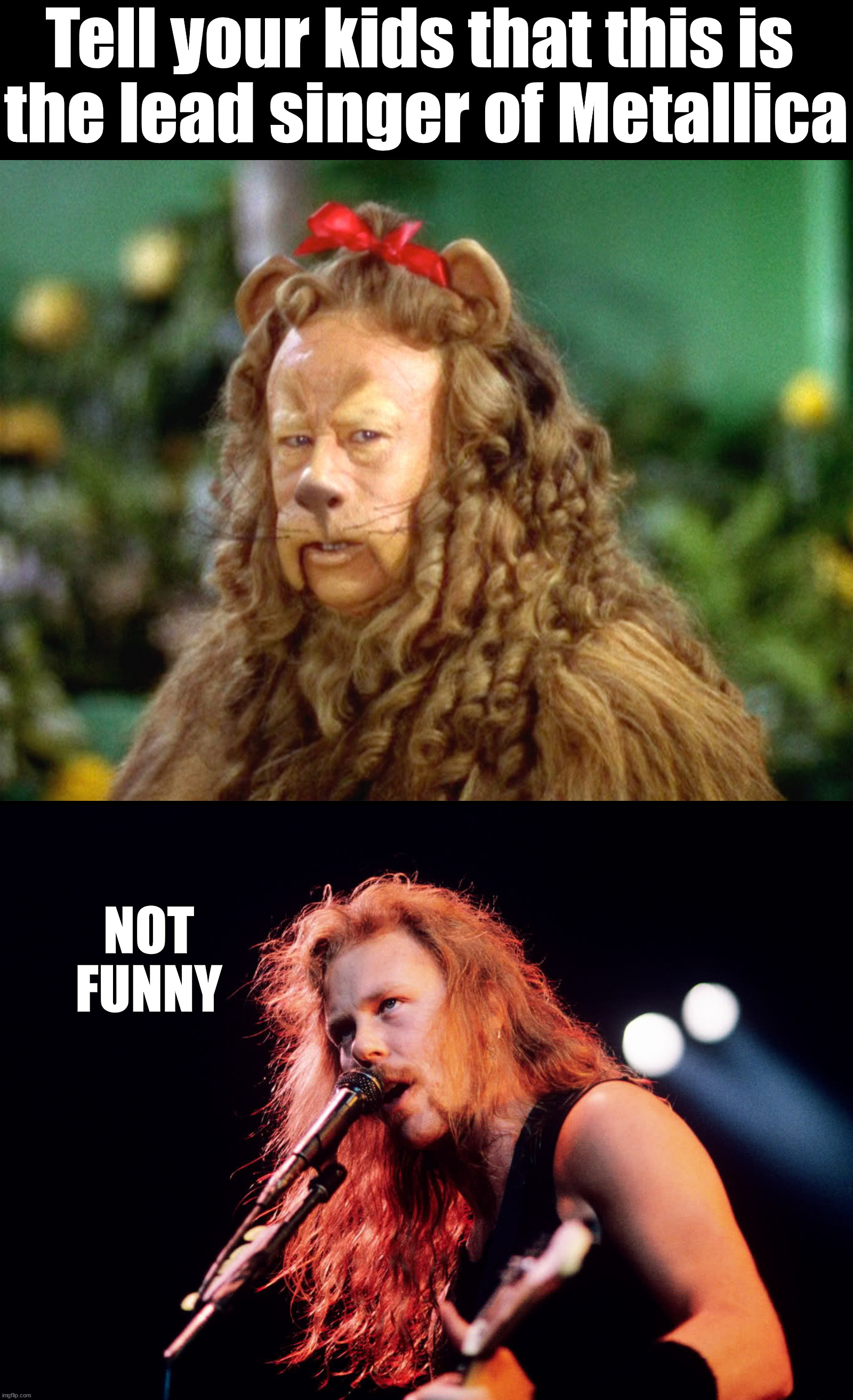 Tell your kids that this is 
the lead singer of Metallica; NOT FUNNY | image tagged in wizard of oz lion,metal angry cat | made w/ Imgflip meme maker