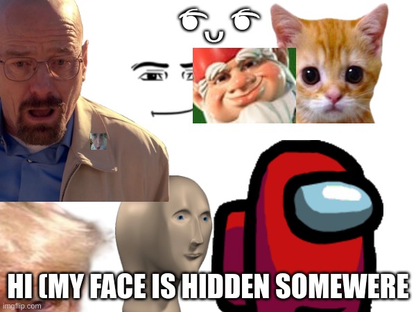 my name is walter white | ͡❛ ᴗ ͡❛; HI (MY FACE IS HIDDEN SOMEWERE | image tagged in willy wonka,anti furry,good | made w/ Imgflip meme maker