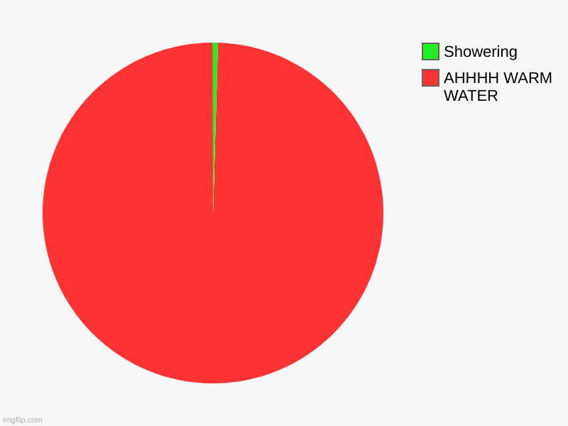 AHHHH WARM WATER, Showering | image tagged in charts,pie charts | made w/ Imgflip chart maker