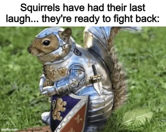 Forgive me for chasing you around the park the other day :( | Squirrels have had their last laugh... they're ready to fight back: | made w/ Imgflip meme maker