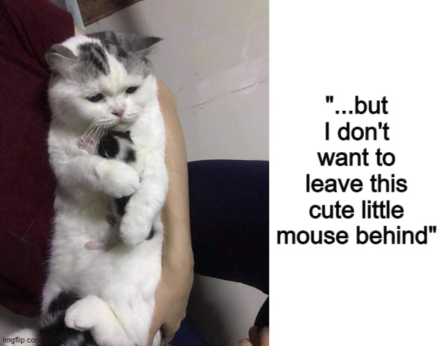 ... | "...but I don't want to leave this cute little mouse behind" | image tagged in blank white template | made w/ Imgflip meme maker