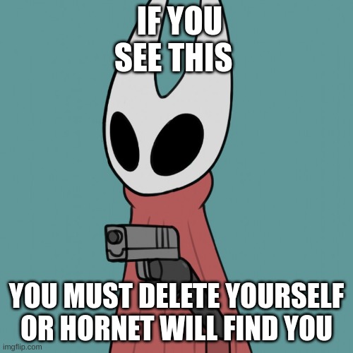 why? | IF YOU SEE THIS; YOU MUST DELETE YOURSELF
OR HORNET WILL FIND YOU | image tagged in hornet delet this | made w/ Imgflip meme maker