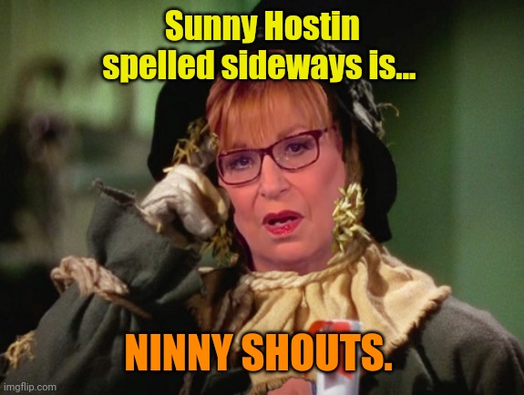Joy Behar Scarecrow | Sunny Hostin spelled sideways is... NINNY SHOUTS. | image tagged in joy behar scarecrow | made w/ Imgflip meme maker