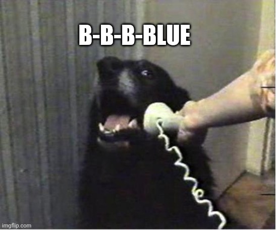 Yes this is dog | B-B-B-BLUE | image tagged in yes this is dog | made w/ Imgflip meme maker