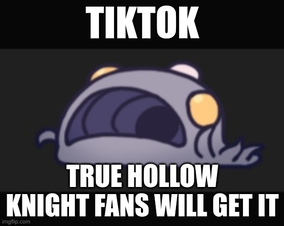 yes | TIKTOK; TRUE HOLLOW KNIGHT FANS WILL GET IT | image tagged in the mistake | made w/ Imgflip meme maker