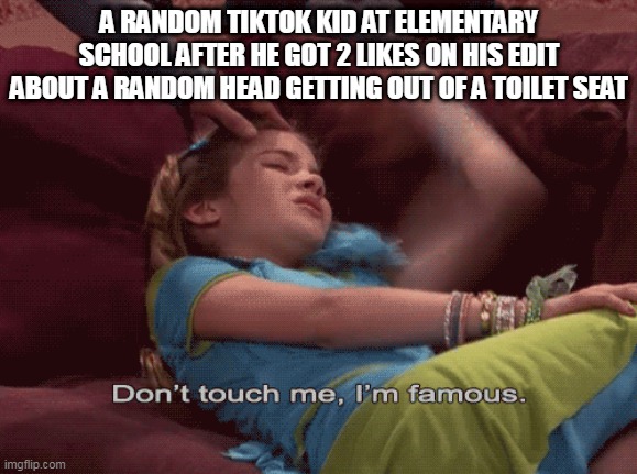 skibidi toilet is cringe (change my mind meme in the background) | A RANDOM TIKTOK KID AT ELEMENTARY SCHOOL AFTER HE GOT 2 LIKES ON HIS EDIT ABOUT A RANDOM HEAD GETTING OUT OF A TOILET SEAT | image tagged in don't touch me i'm famous,skibidi toilet,tiktok sucks | made w/ Imgflip meme maker