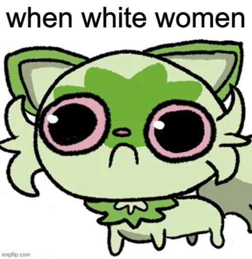 weed cat | when white women | image tagged in weed cat | made w/ Imgflip meme maker