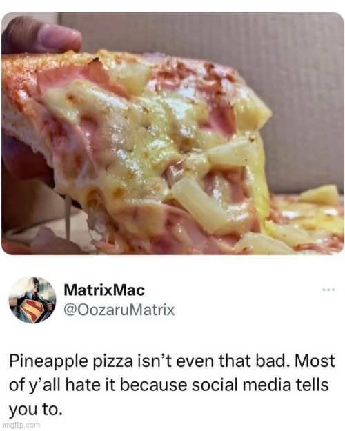 the picture looks gross but pinapple pizza is bussin fr | made w/ Imgflip meme maker