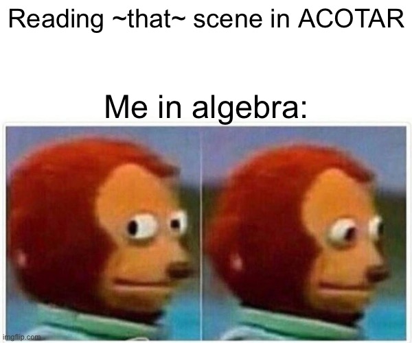 … | Reading ~that~ scene in ACOTAR; Me in algebra: | image tagged in memes,monkey puppet | made w/ Imgflip meme maker