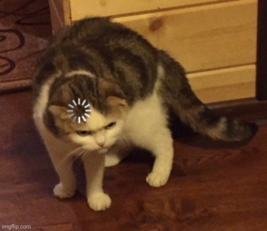 cat loading | image tagged in cat loading | made w/ Imgflip meme maker