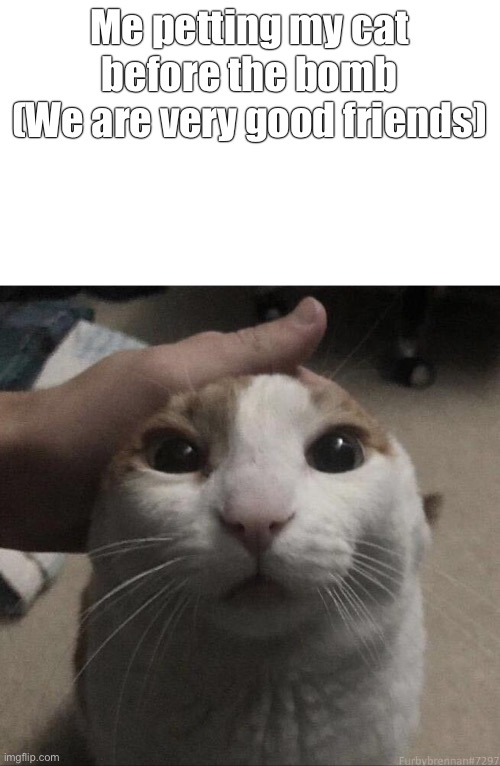 me petting my cat | Me petting my cat before the bomb
(We are very good friends) | image tagged in me petting my cat | made w/ Imgflip meme maker
