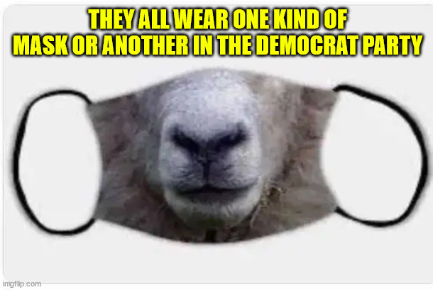 THEY ALL WEAR ONE KIND OF MASK OR ANOTHER IN THE DEMOCRAT PARTY | made w/ Imgflip meme maker