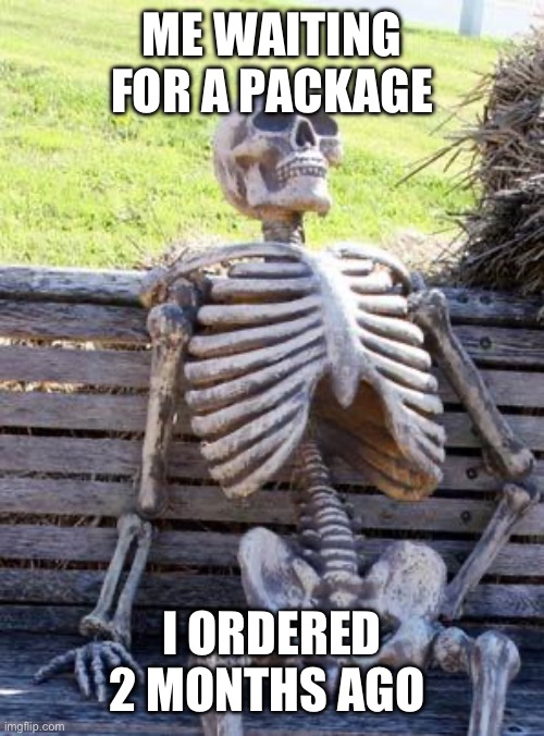 Waiting Skeleton | ME WAITING FOR A PACKAGE; I ORDERED 2 MONTHS AGO | image tagged in memes,waiting skeleton | made w/ Imgflip meme maker