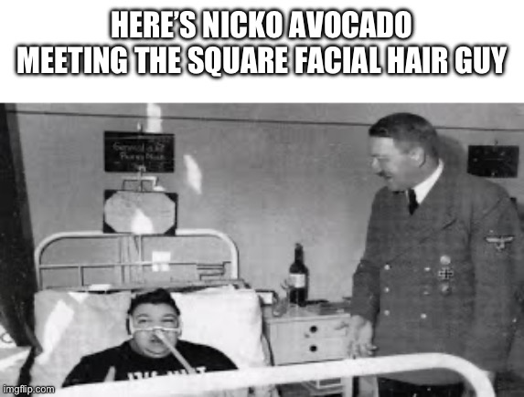 Nicko avocado is a time traveler | HERE’S NICKO AVOCADO MEETING THE SQUARE FACIAL HAIR GUY | image tagged in memes,funny,nicko avocado,nazi,offensive,hitler | made w/ Imgflip meme maker