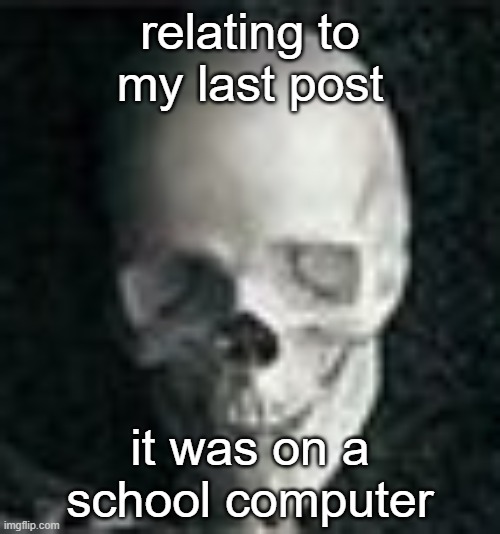 I'm dead | relating to my last post; it was on a school computer | image tagged in skull | made w/ Imgflip meme maker