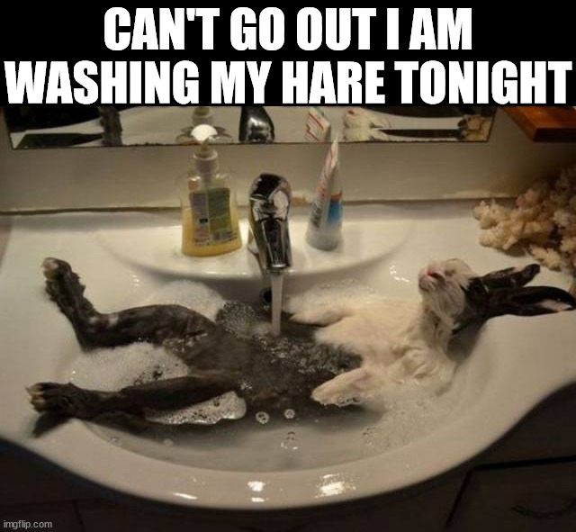 CAN'T GO OUT I AM WASHING MY HARE TONIGHT | made w/ Imgflip meme maker