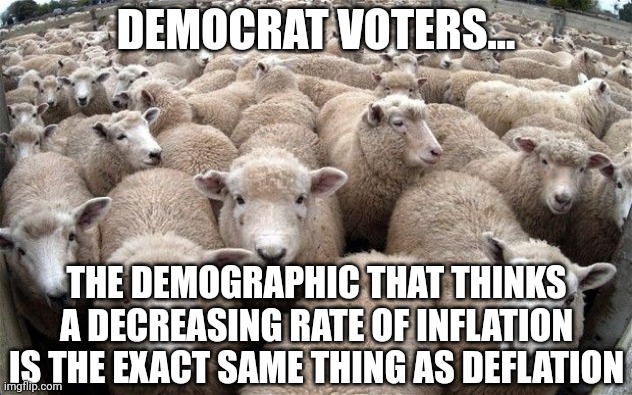 Democrats must think getting hit with a stick slowly is the same thing as not being hit at all.... right? | DEMOCRAT VOTERS... THE DEMOGRAPHIC THAT THINKS A DECREASING RATE OF INFLATION IS THE EXACT SAME THING AS DEFLATION | image tagged in sheeple,democrats,inflation,prices,liberal logic,liberal hypocrisy | made w/ Imgflip meme maker