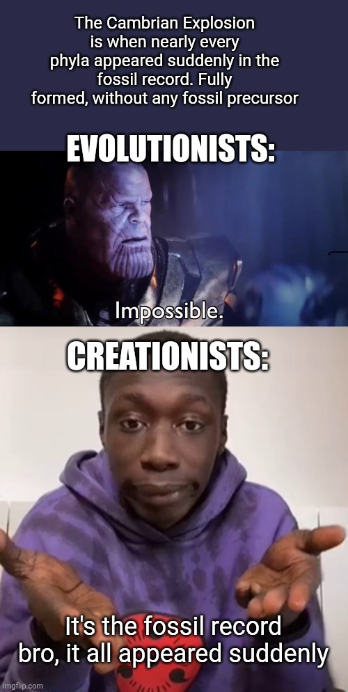 Creationists | The Cambrian Explosion is when nearly every phyla appeared suddenly in the fossil record. Fully formed, without any fossil precursor; EVOLUTIONISTS:; CREATIONISTS:; It's the fossil record bro, it all appeared suddenly | image tagged in thanos impossible,khaby lame obvious,creationism,evolution | made w/ Imgflip meme maker