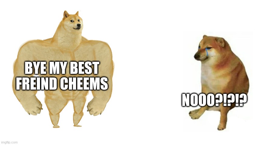 cheems | BYE MY BEST FREIND CHEEMS; NOOO?!?!? | image tagged in buff doge vs crying cheems | made w/ Imgflip meme maker