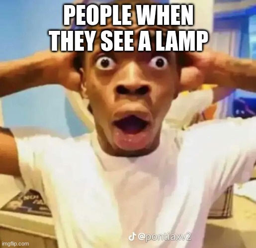 Shocked black guy | PEOPLE WHEN THEY SEE A LAMP | image tagged in shocked black guy | made w/ Imgflip meme maker