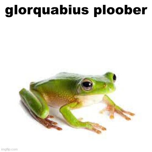 glorquaibius ploober | glorquabius ploober | made w/ Imgflip meme maker
