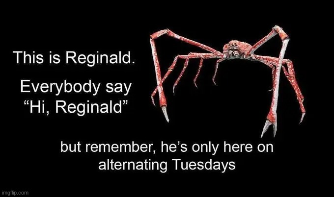 Reginald | image tagged in reginald | made w/ Imgflip meme maker