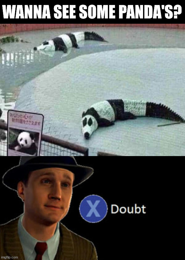 WANNA SEE SOME PANDA'S? | image tagged in press x to doubt with space,you had one job | made w/ Imgflip meme maker