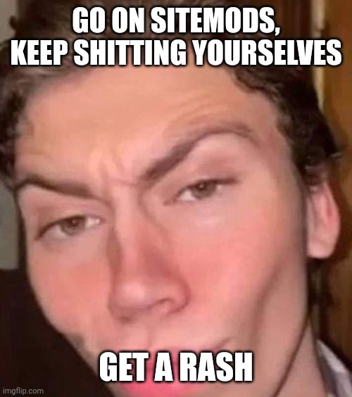 Rizz | GO ON SITEMODS, KEEP SHITTING YOURSELVES GET A RASH | image tagged in rizz | made w/ Imgflip meme maker