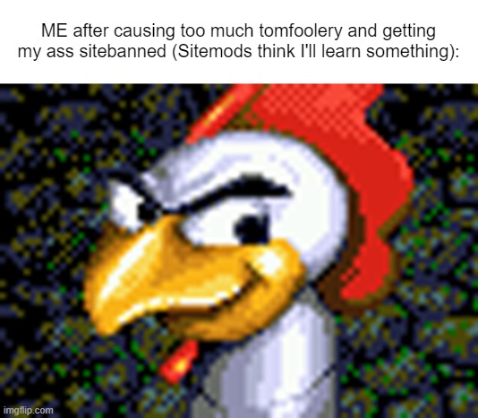 ME after causing too much tomfoolery and getting my ass sitebanned (Sitemods think I'll learn something): | made w/ Imgflip meme maker