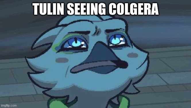 ahhh | TULIN SEEING COLGERA | image tagged in totk tulin staring up,funny memes | made w/ Imgflip meme maker