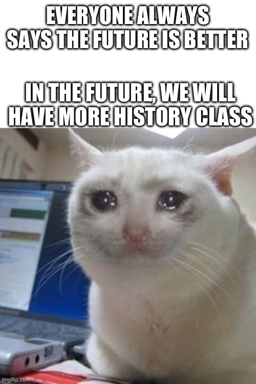 A sad reality | EVERYONE ALWAYS SAYS THE FUTURE IS BETTER; IN THE FUTURE, WE WILL HAVE MORE HISTORY CLASS | image tagged in crying cat | made w/ Imgflip meme maker