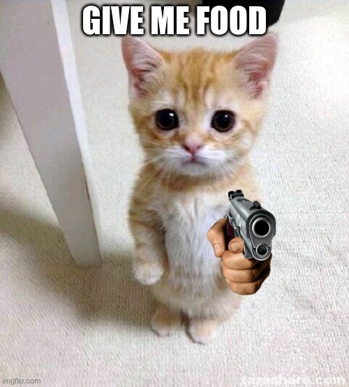 Cute Cat | GIVE ME FOOD | image tagged in memes,cute cat | made w/ Imgflip meme maker