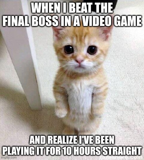 Cute Cat Meme | WHEN I BEAT THE FINAL BOSS IN A VIDEO GAME; AND REALIZE I'VE BEEN PLAYING IT FOR 10 HOURS STRAIGHT | image tagged in memes,cute cat | made w/ Imgflip meme maker