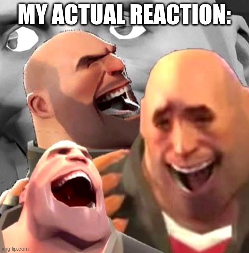 Heavy Laughing | MY ACTUAL REACTION: | image tagged in heavy laughing | made w/ Imgflip meme maker