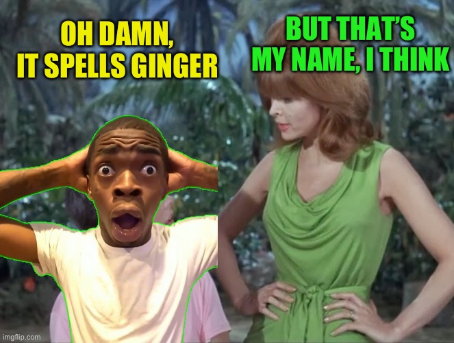 Mary Ann and Ginger | OH DAMN,
IT SPELLS GINGER BUT THAT’S MY NAME, I THINK | image tagged in mary ann and ginger | made w/ Imgflip meme maker