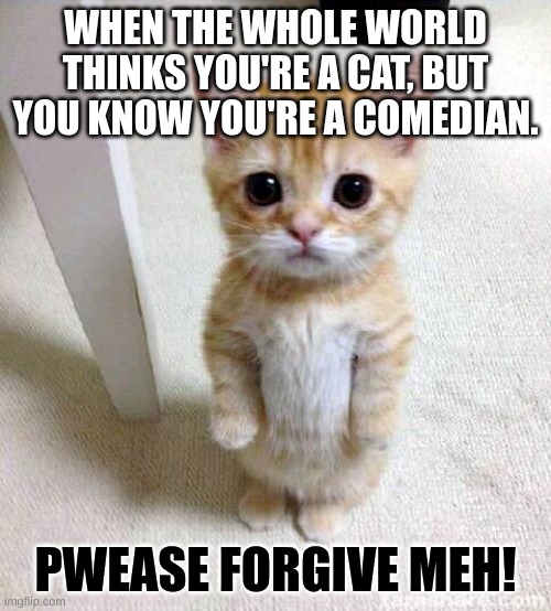 Cute Cat | WHEN THE WHOLE WORLD THINKS YOU'RE A CAT, BUT YOU KNOW YOU'RE A COMEDIAN. PWEASE FORGIVE MEH! | image tagged in memes,cute cat | made w/ Imgflip meme maker