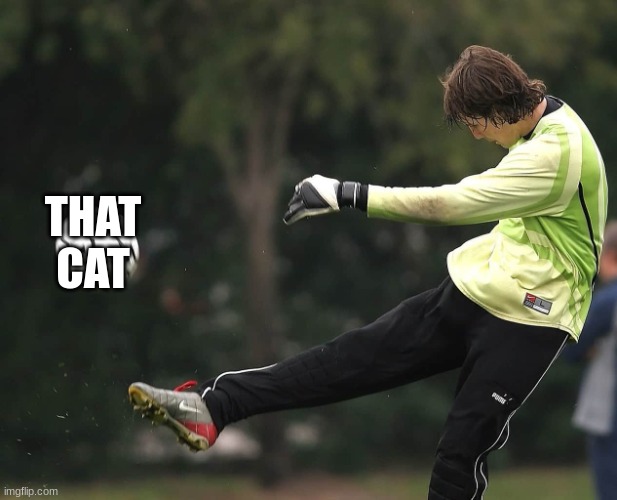 Man Punting a Ball | THAT CAT | image tagged in man punting a ball | made w/ Imgflip meme maker