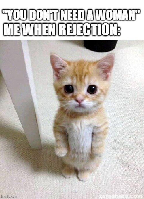 Cute Cat Meme | "YOU DON'T NEED A WOMAN"; ME WHEN REJECTION: | image tagged in memes,cute cat | made w/ Imgflip meme maker