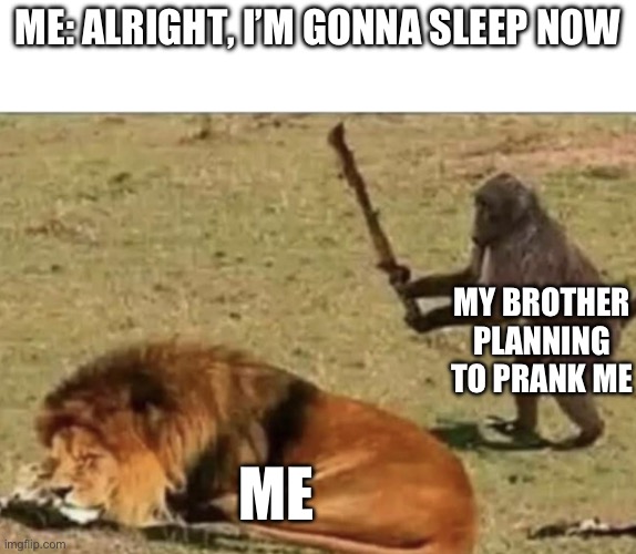 Why does it have to be me??? | ME: ALRIGHT, I’M GONNA SLEEP NOW; MY BROTHER PLANNING TO PRANK ME; ME | image tagged in memes,siblings | made w/ Imgflip meme maker