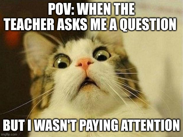 Whatching One Piece on chrunyroll instead tho | POV: WHEN THE TEACHER ASKS ME A QUESTION; BUT I WASN'T PAYING ATTENTION | image tagged in memes,scared cat | made w/ Imgflip meme maker