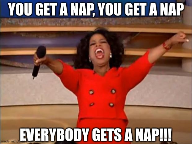 Oprah You Get A Meme | YOU GET A NAP, YOU GET A NAP; EVERYBODY GETS A NAP!!! | image tagged in memes,oprah you get a | made w/ Imgflip meme maker