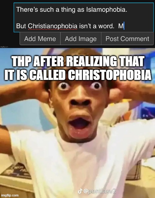 more drama. | THP AFTER REALIZING THAT IT IS CALLED CHRISTOPHOBIA | image tagged in shocked black guy | made w/ Imgflip meme maker