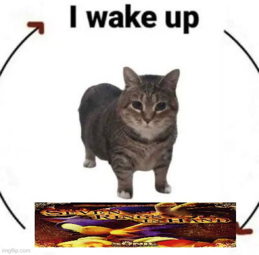 SEVENR GINS IN HAND SPEED THROUGH NIGHTS WITH FEET IN SAND | image tagged in i wake up cat | made w/ Imgflip meme maker