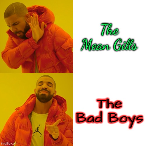 Random meme | The Mean Gills; The Bad Boys | image tagged in memes,drake hotline bling | made w/ Imgflip meme maker