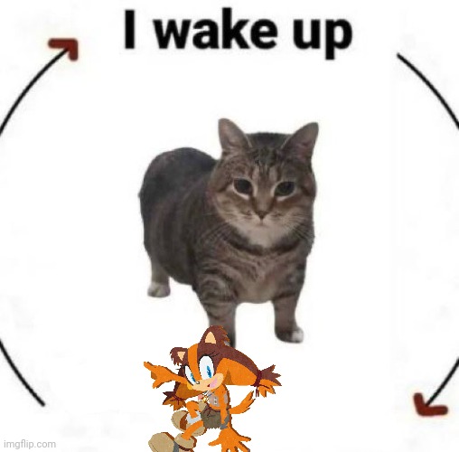 i wake up cat | image tagged in i wake up cat | made w/ Imgflip meme maker